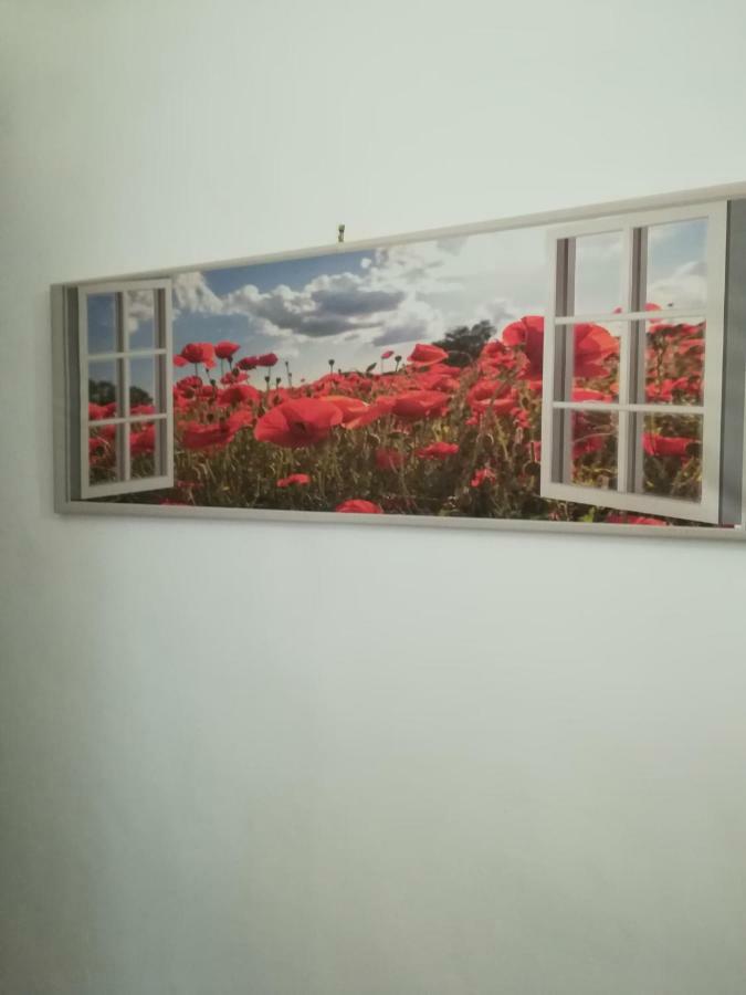 La Terrazza Apartment ตราปานี ภายนอก รูปภาพ